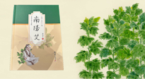 【行業(yè)資訊】國內首部艾草專著《南陽艾》，在南陽新書首發(fā)！
