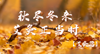 【健康/艾灸】秋盡冬來(lái)，艾灸正當(dāng)時(shí)——解鎖季節(jié)交替的養(yǎng)生密碼！