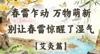 【二十四節(jié)氣灸】春雷驚醒濕氣！驚蟄艾灸3穴，疏肝祛濕養(yǎng)元氣！